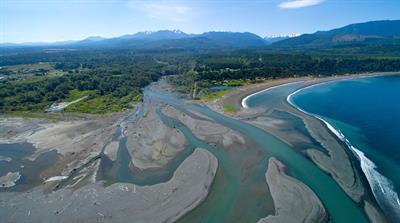 Coastal vegetation responses to large dam removal on the Elwha River